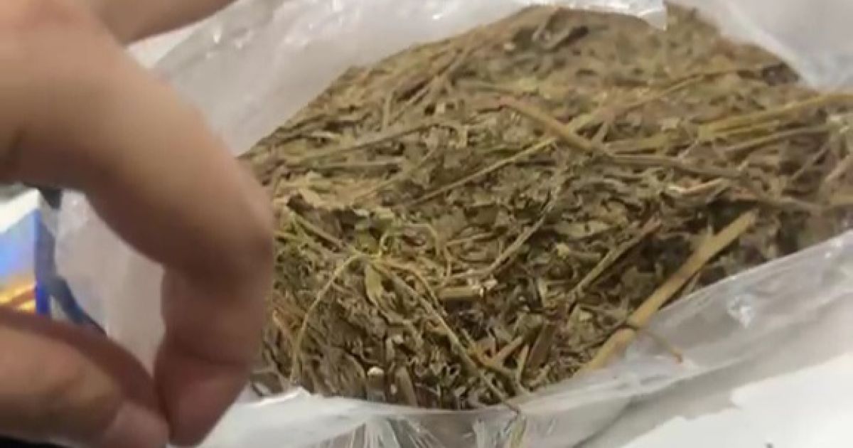 Kapolsek Jonggol Pimpin Penangkapan Dua Pengedar Ganja dan Sabu di Citra Elok