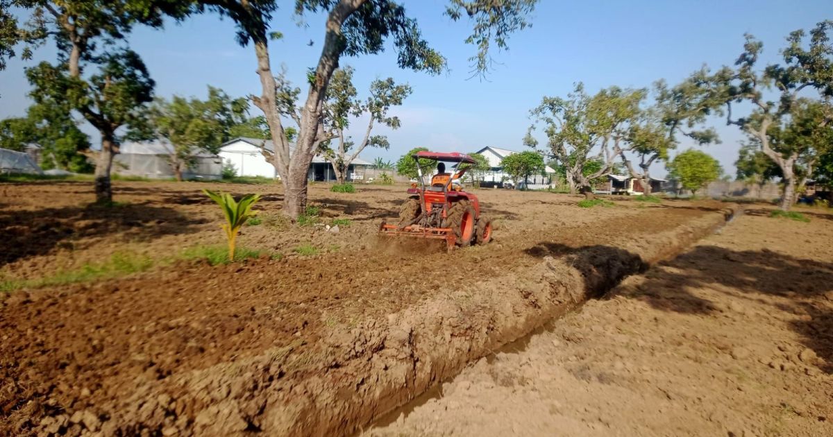 Gaspol Setiap Hari, Lapas Kendal Optimalkan Lahan dan Irigasi untuk Ketahanan Pangan