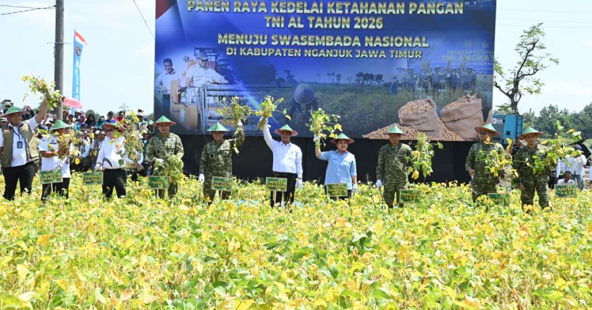 Panen Raya Kedelai, Panglima TNI Dorong Swasembada Pangan