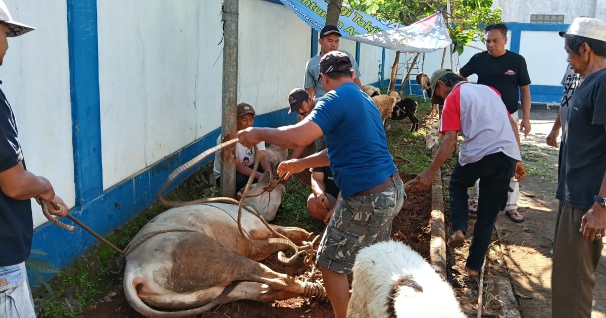 PWI Kabupaten Bogor Sembelih 10 Hewan Kurban di Graha Wartawan