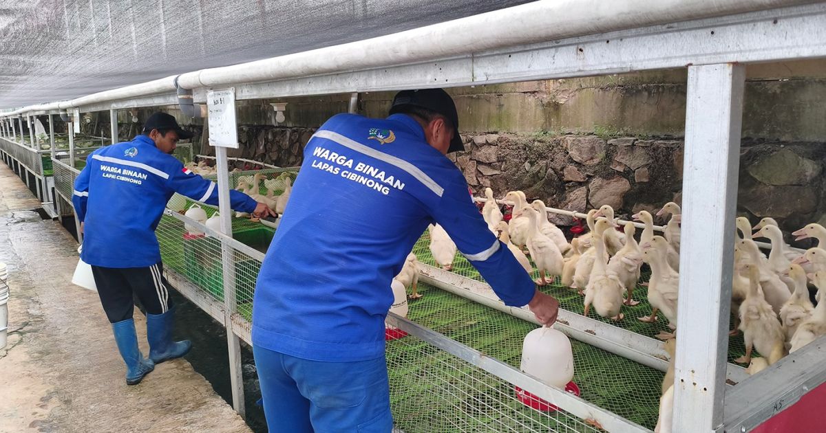 Dukung Swasembada Pangan, Lapas Cibinong Paparkan Program Unggulan di Hadapan DPR RI