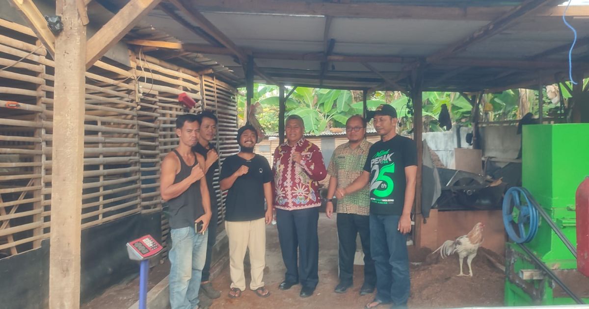 Limbah Sabut Kelapa Disulap Jadi Cocopeat, Peluang Bisnis Ramah Lingkungan yang Menjanjikan