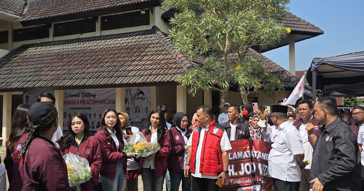 Bara JP Tancap Gas di Lampung, Boy Nababan Pastikan Seluruh Gerakan Ikuti Arahan Jokowi.